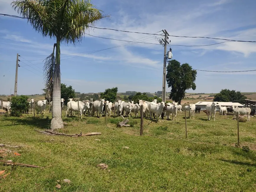 Sítio / Rancho com 4 quartos à venda, 242000m2 em Alambari - SP - imagem 4 Foto 4 de Sítio / Rancho com 4 quartos à venda, 242000m2 em Alambari - SP