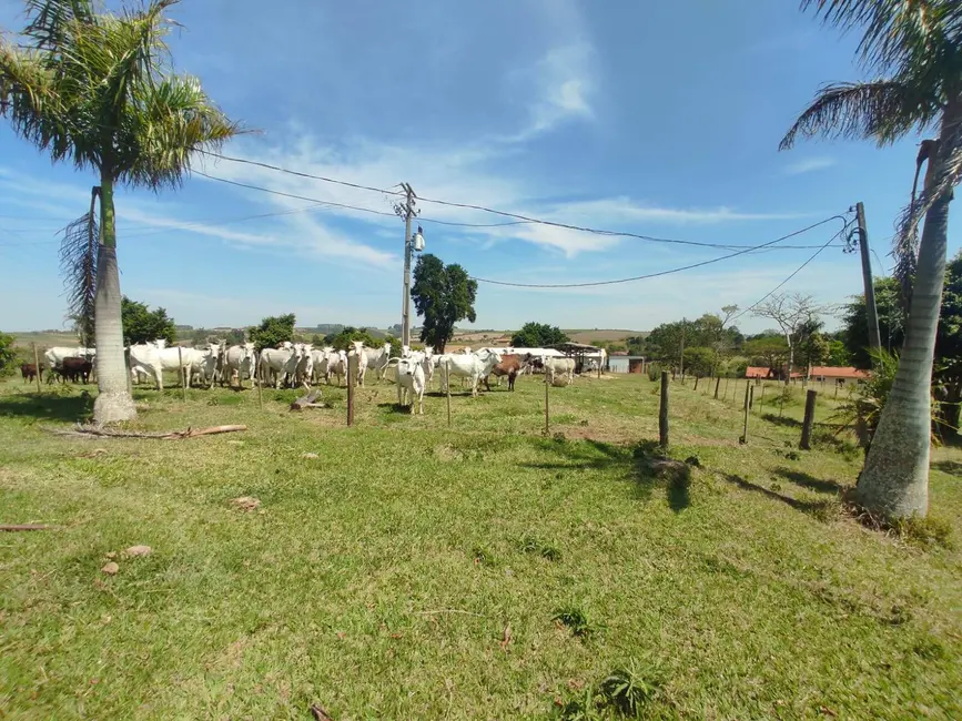 Sítio / Rancho com 4 quartos à venda, 242000m2 em Alambari - SP - imagem 3 Foto 3 de Sítio / Rancho com 4 quartos à venda, 242000m2 em Alambari - SP