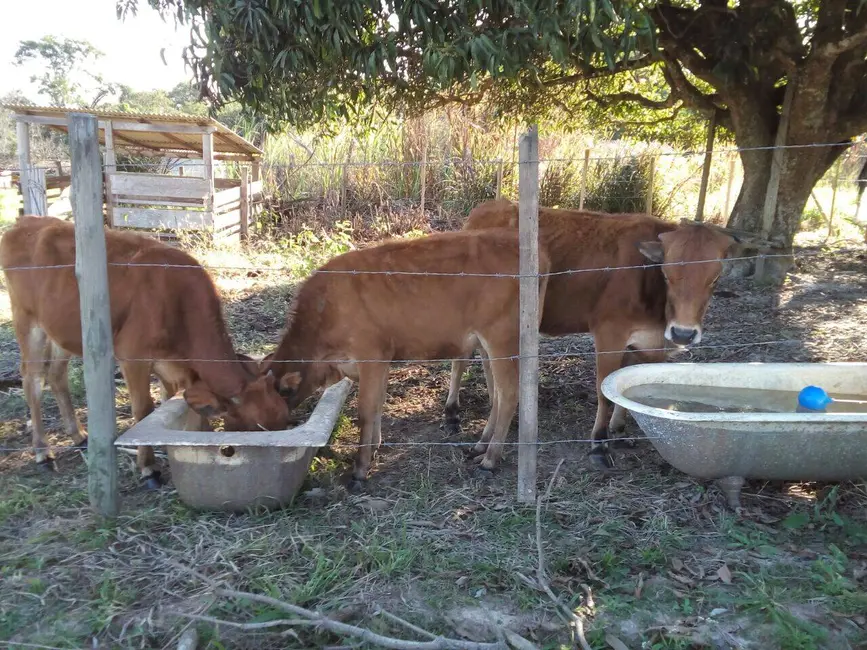 Foto 4 de Chácara com 3 quartos à venda, 44000m2 em Aracoiaba Da Serra - SP