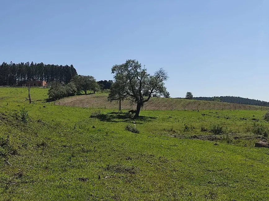 Sítio / Rancho com 3 quartos à venda, 169400m2 em Alambari - SP - imagem 7 Foto 7 de Sítio / Rancho com 3 quartos à venda, 169400m2 em Alambari - SP