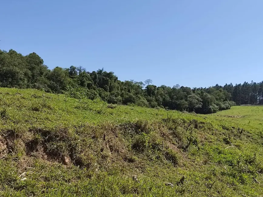 Sítio / Rancho com 3 quartos à venda, 169400m2 em Alambari - SP - imagem 8 Foto 8 de Sítio / Rancho com 3 quartos à venda, 169400m2 em Alambari - SP