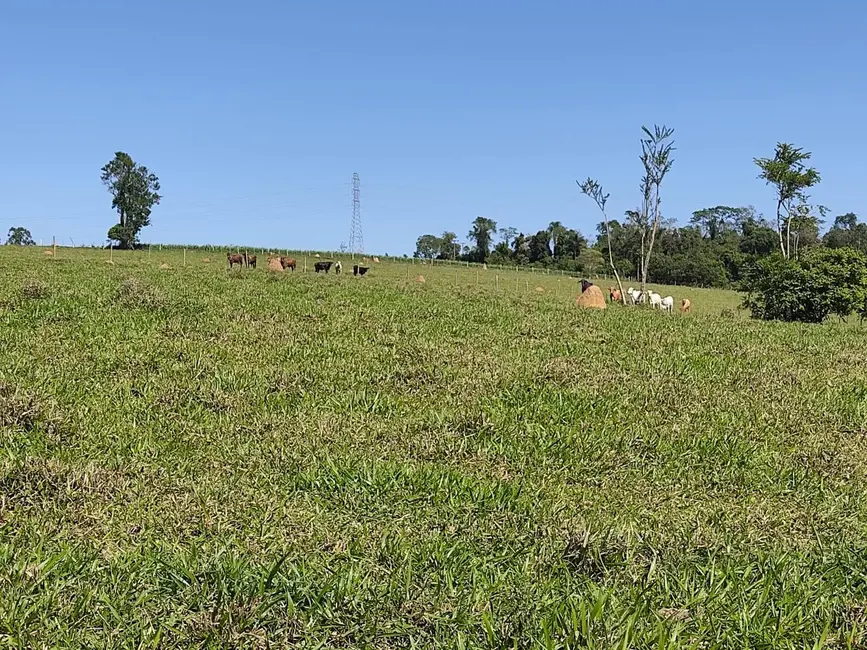 Sítio / Rancho com 3 quartos à venda, 169400m2 em Alambari - SP - imagem 4 Foto 4 de Sítio / Rancho com 3 quartos à venda, 169400m2 em Alambari - SP