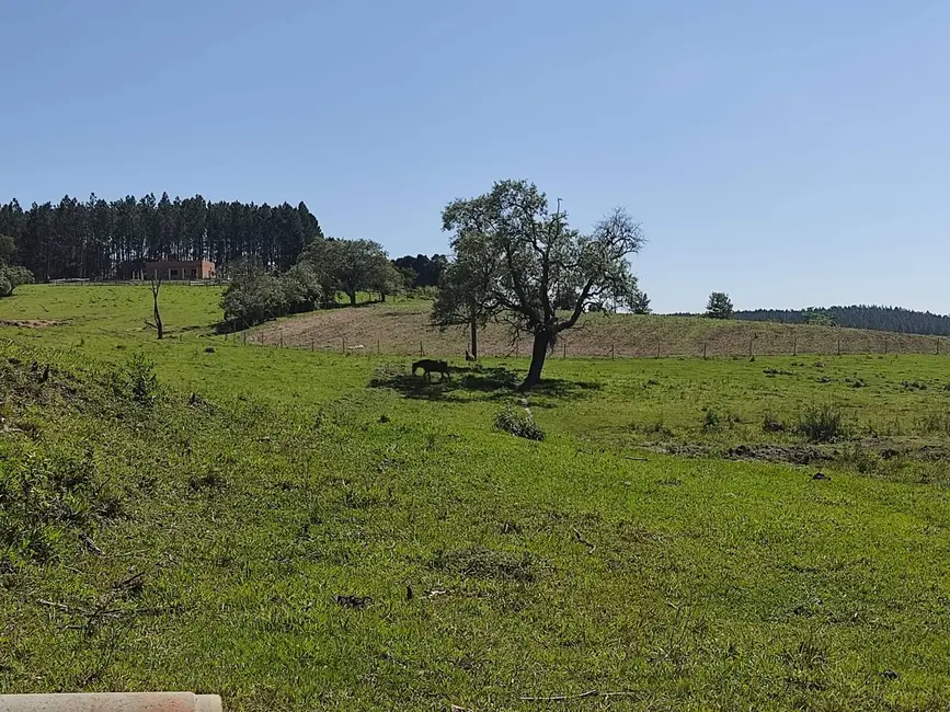 Sítio / Rancho com 3 quartos à venda, 169400m2 em Alambari - SP - imagem 5 Foto 5 de Sítio / Rancho com 3 quartos à venda, 169400m2 em Alambari - SP