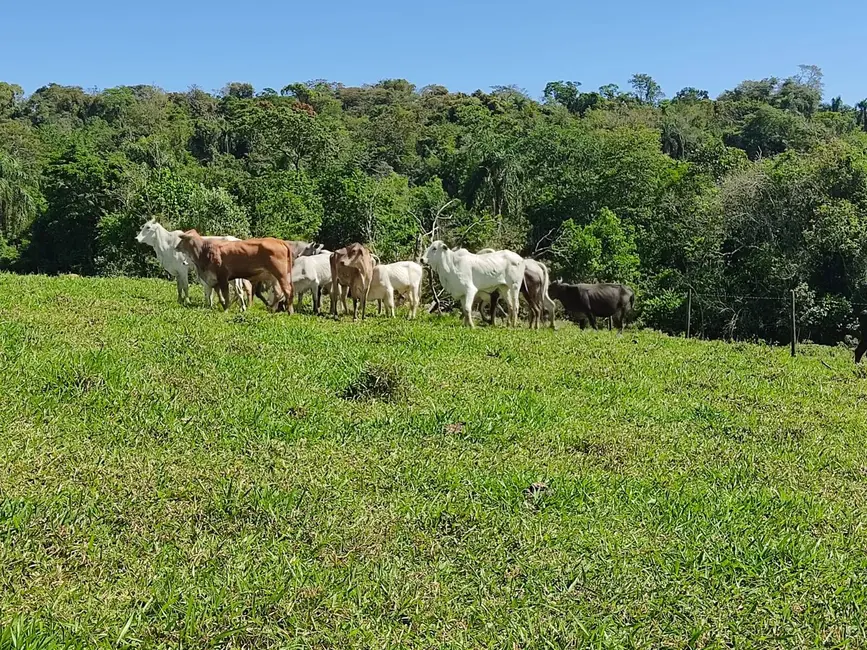 Foto 2 de Sítio / Rancho com 3 quartos à venda, 169400m2 em Alambari - SP