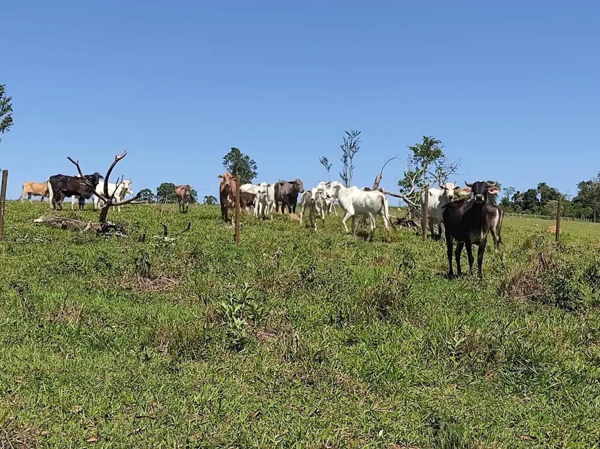 Sítio / Rancho com 3 quartos à venda, 169400m2 em Alambari - SP - imagem 3 Foto 3 de Sítio / Rancho com 3 quartos à venda, 169400m2 em Alambari - SP