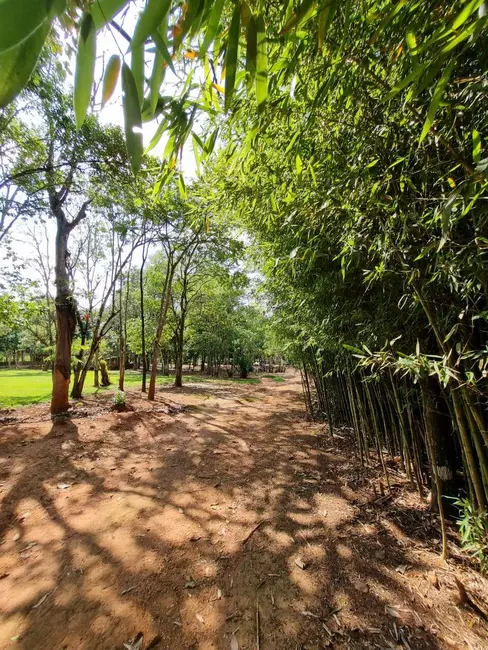 Chácara com 3 quartos à venda, 46809m2 em Alambari - SP - imagem 3 Foto 3 de Chácara com 3 quartos à venda, 46809m2 em Alambari - SP