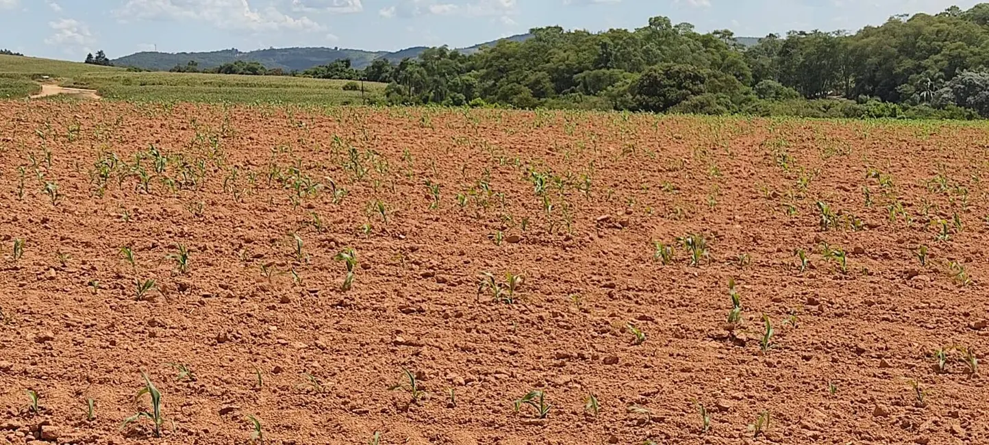Foto 2 de Sítio / Rancho com 3 quartos à venda, 315600m2 em Piedade - SP