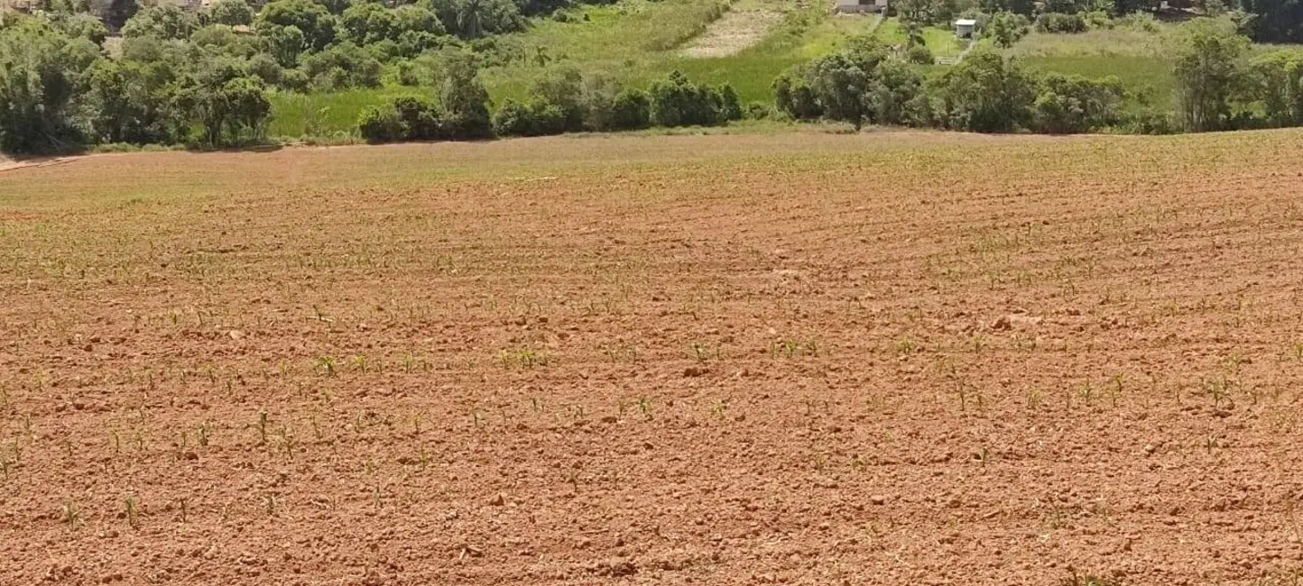 Foto 8 de Sítio / Rancho com 3 quartos à venda, 315600m2 em Piedade - SP