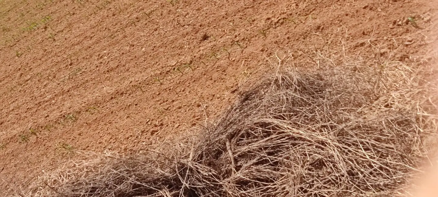 Foto 9 de Sítio / Rancho com 3 quartos à venda, 315600m2 em Piedade - SP