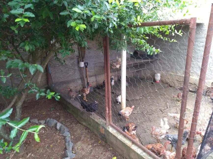 Casa com 3 quartos à venda, 900m2 em Alambari - SP - imagem 9 Foto 9 de Casa com 3 quartos à venda, 900m2 em Alambari - SP