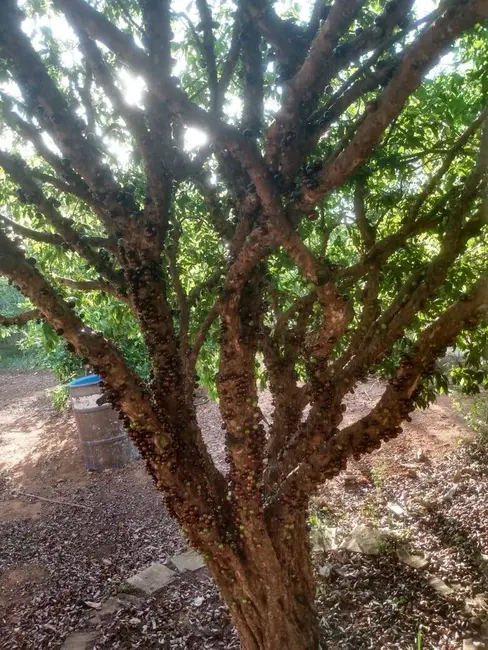 Foto 8 de Chácara com 2 quartos à venda, 2048m2 em Aracoiaba Da Serra - SP