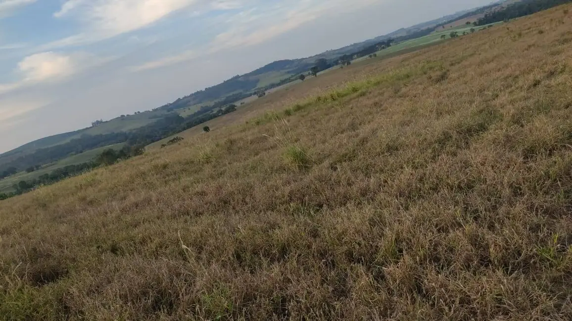 Foto 9 de Fazenda / Haras à venda, 1427800m2 em Morada do Sol, Itapetininga - SP