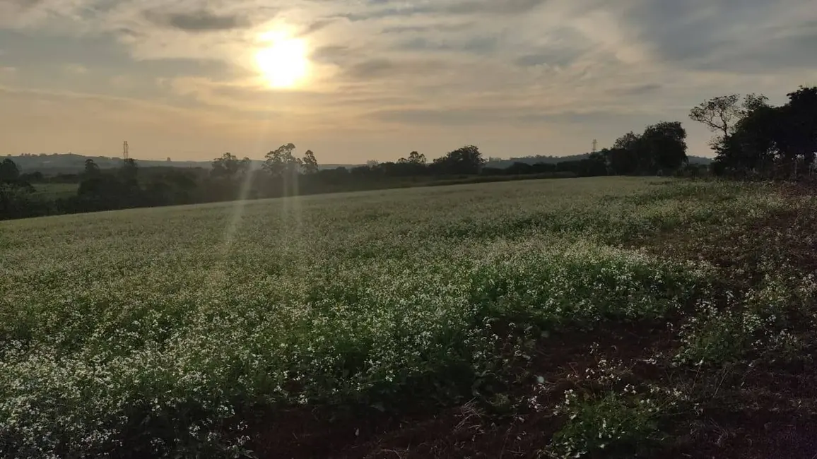 Foto 8 de Fazenda / Haras à venda, 1427800m2 em Morada do Sol, Itapetininga - SP
