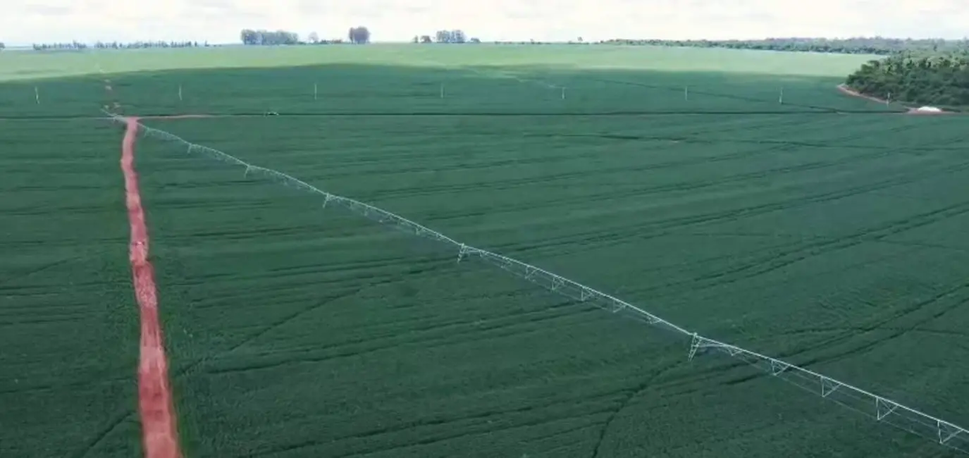 Foto 9 de Fazenda / Haras à venda, 650m2 em Centro, Nantes - SP