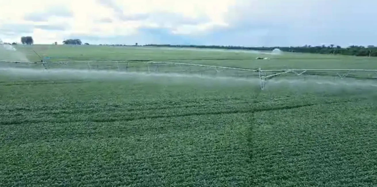 Foto 2 de Fazenda / Haras à venda, 650m2 em Centro, Nantes - SP