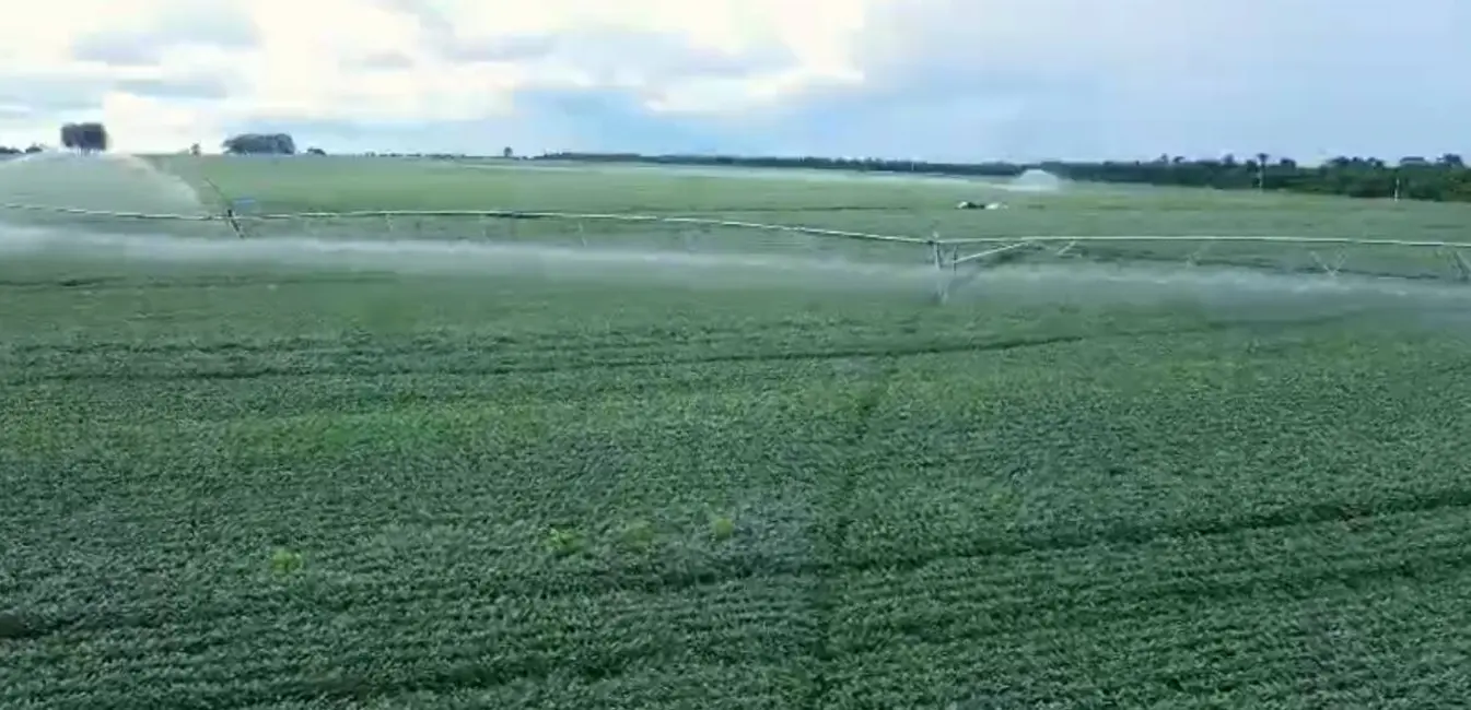 Foto 7 de Fazenda / Haras à venda, 650m2 em Centro, Nantes - SP