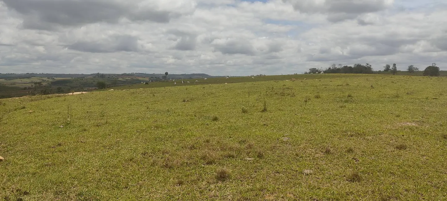 Foto 2 de Chácara com 5 quartos à venda, 1645600m2 em Alambari - SP