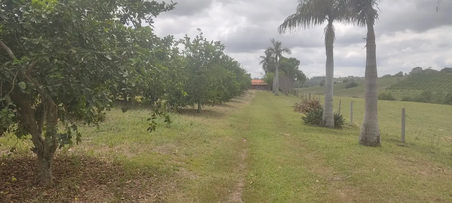 Foto 4 de Chácara com 3 quartos à venda, 48400m2 em Capela Do Alto - SP