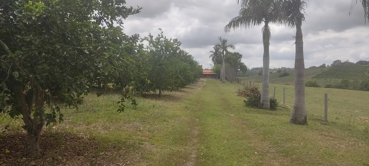 Foto 3 de Chácara com 3 quartos à venda, 48400m2 em Capela Do Alto - SP