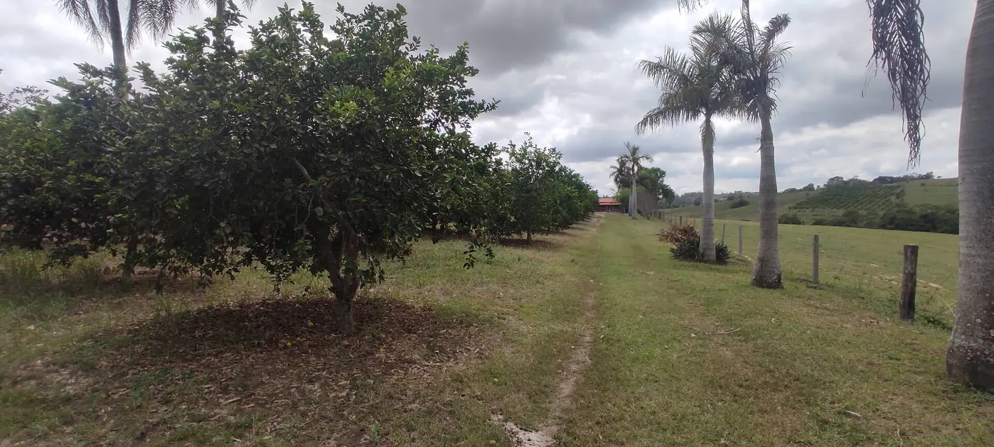 Foto 5 de Chácara com 3 quartos à venda, 48400m2 em Capela Do Alto - SP