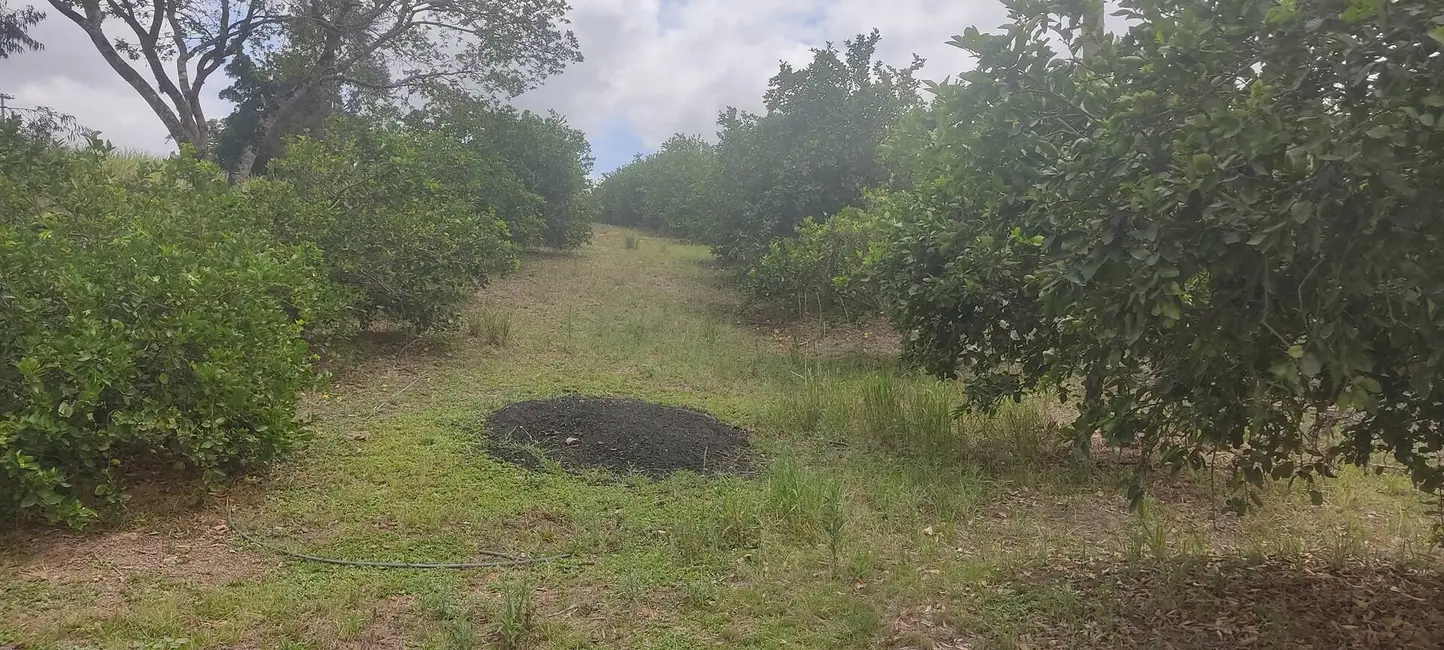 Foto 7 de Chácara com 3 quartos à venda, 48400m2 em Capela Do Alto - SP