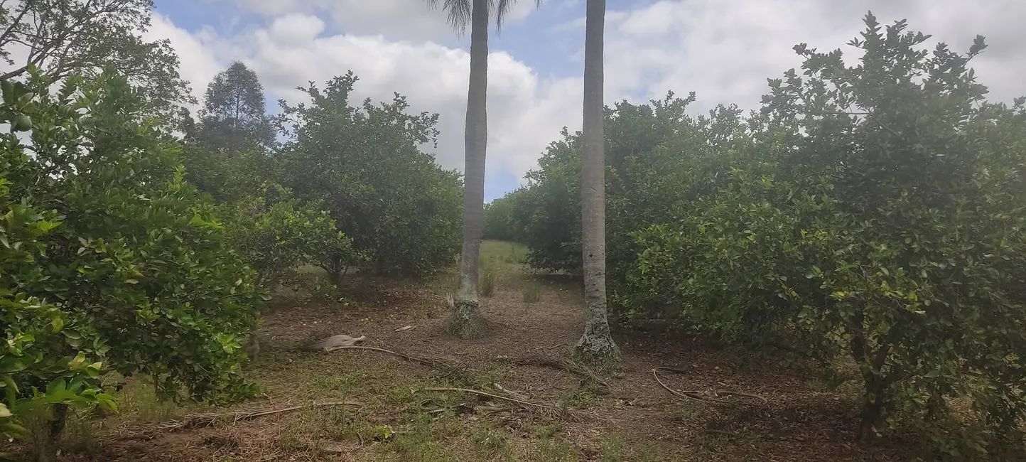 Foto 9 de Chácara com 3 quartos à venda, 48400m2 em Capela Do Alto - SP