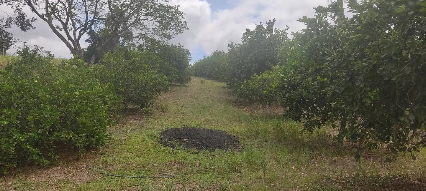 Foto 8 de Chácara com 3 quartos à venda, 48400m2 em Capela Do Alto - SP