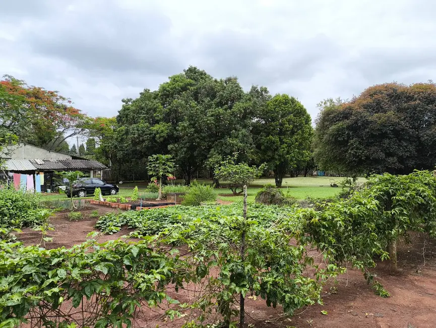 Foto 3 de Chácara com 2 quartos à venda, 12000m2 em Porto Feliz - SP