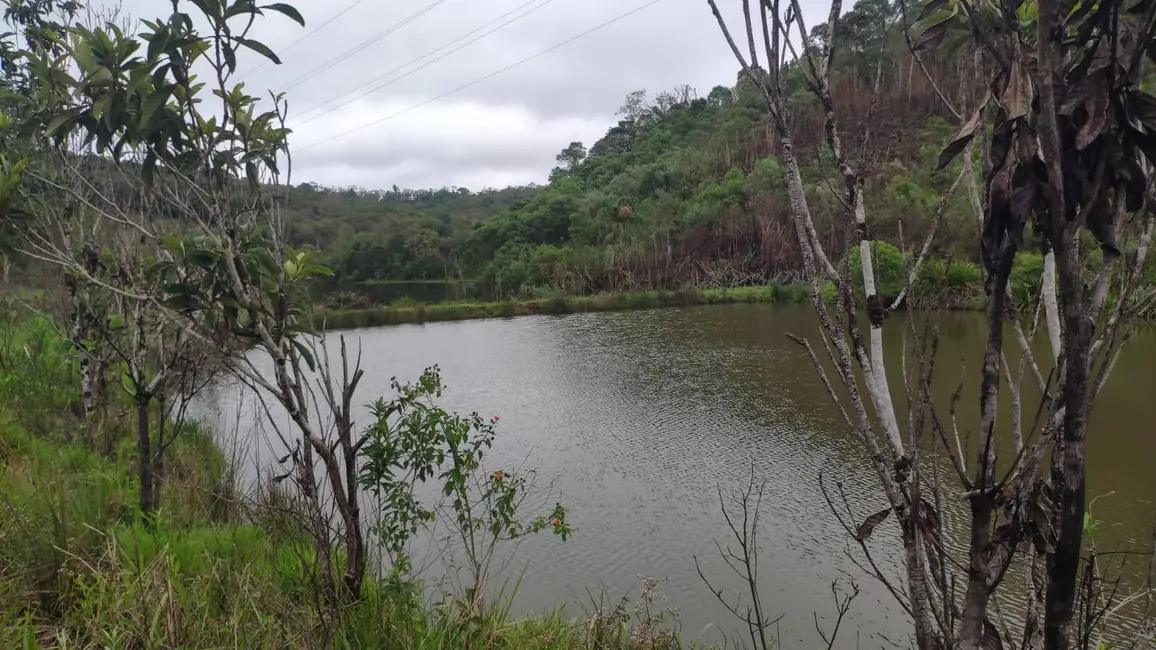 Foto 3 de Chácara com 3 quartos à venda, 145200m2 em Piedade - SP