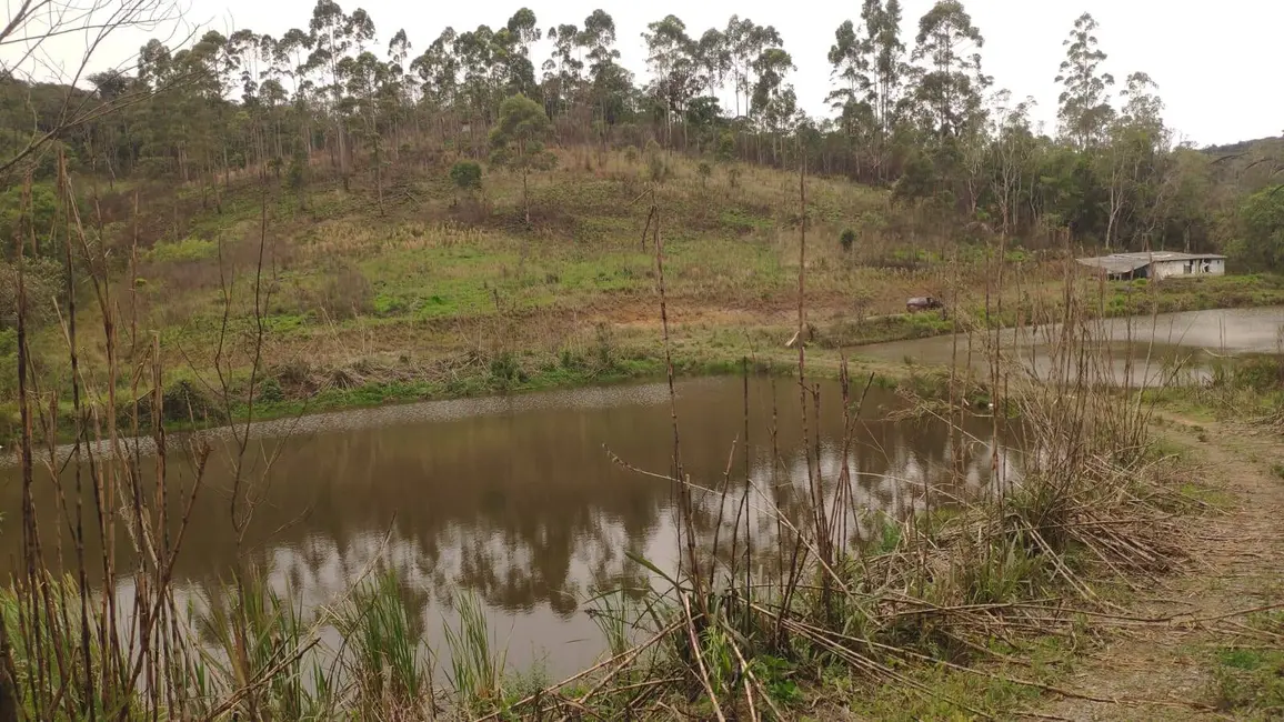 Foto 9 de Chácara com 3 quartos à venda, 145200m2 em Piedade - SP