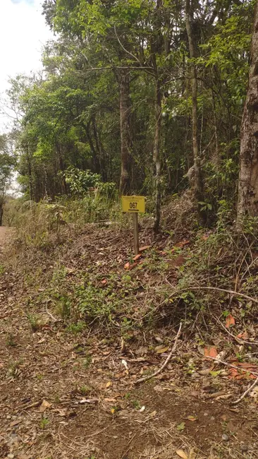 Foto 4 de Chácara com 3 quartos à venda, 145200m2 em Piedade - SP