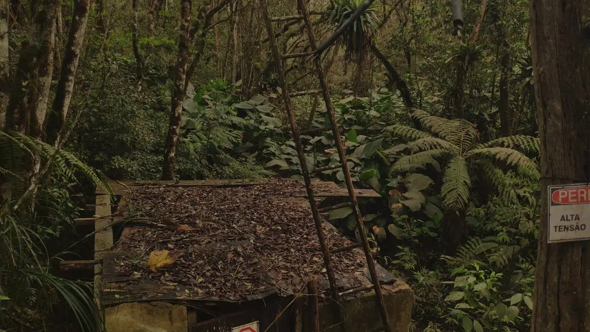 Foto 5 de Chácara com 3 quartos à venda, 145200m2 em Piedade - SP