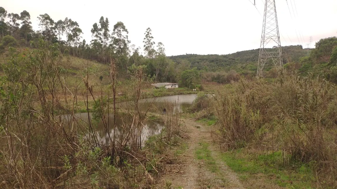 Foto 7 de Chácara com 3 quartos à venda, 145200m2 em Piedade - SP