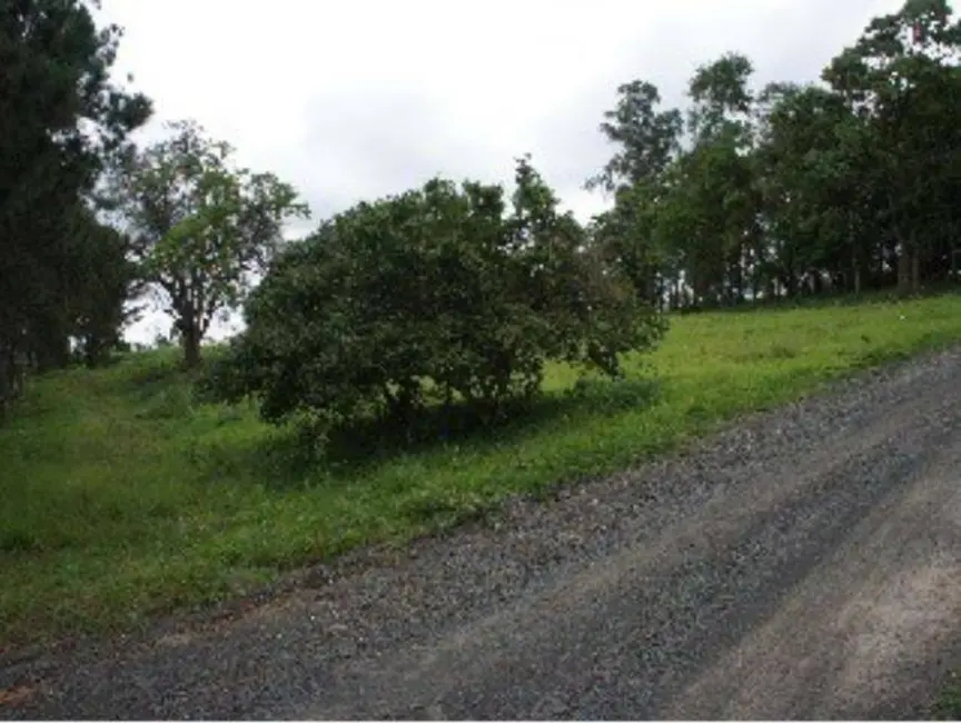 Foto 3 de Sítio / Rancho com 5 quartos à venda, 178086m2 em Porto Feliz - SP