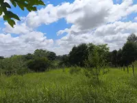 Imagem 4