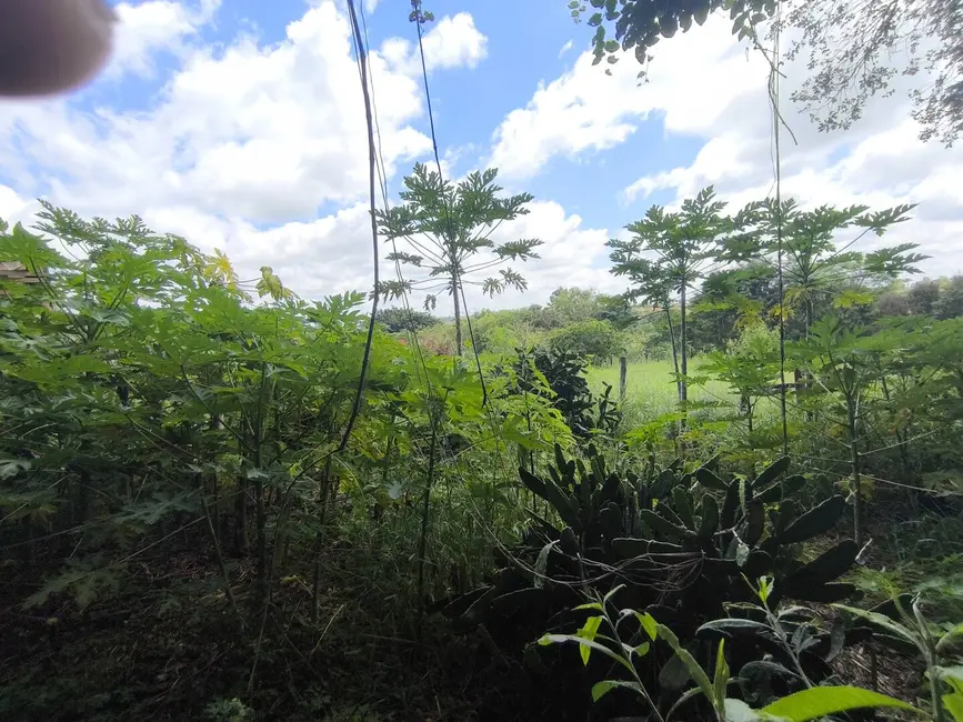 Foto 9 de Chácara com 1 quarto à venda, 6431m2 em Aracoiaba Da Serra - SP