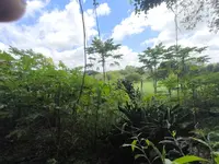 Imagem 9