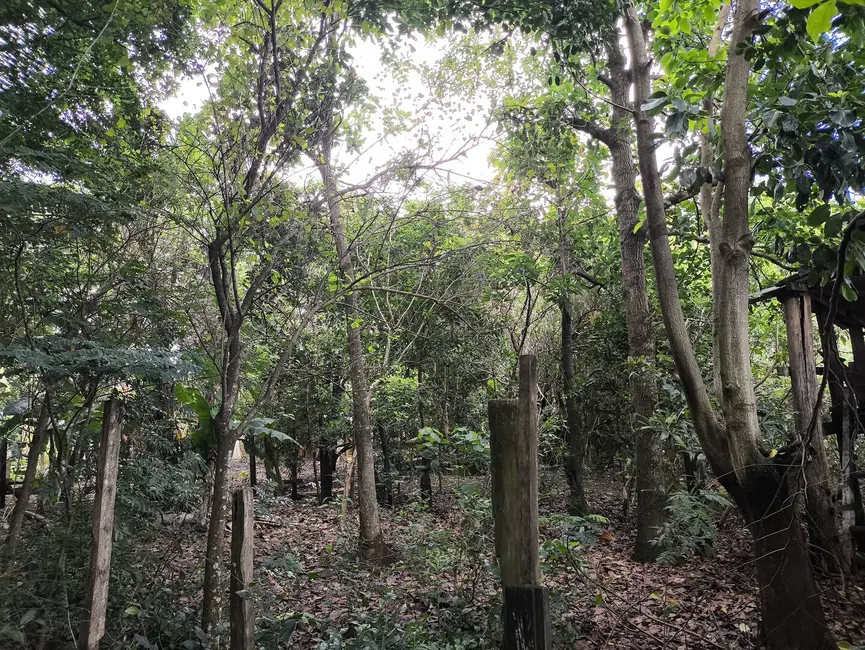 Foto 10 de Chácara com 1 quarto à venda, 6431m2 em Aracoiaba Da Serra - SP