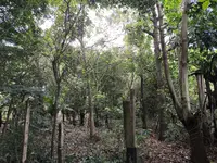 Imagem 10