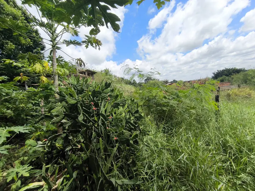 Foto 6 de Chácara com 1 quarto à venda, 6431m2 em Aracoiaba Da Serra - SP