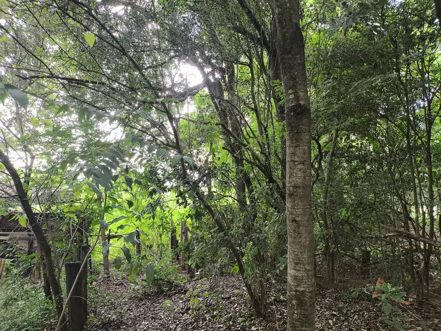 Foto 14 de Chácara com 1 quarto à venda, 6431m2 em Aracoiaba Da Serra - SP