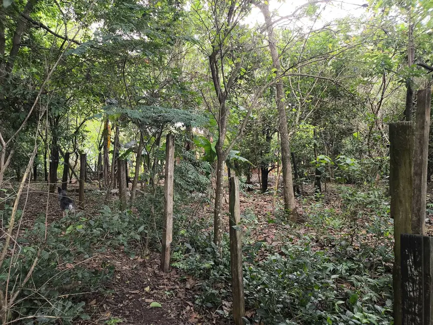 Foto 11 de Chácara com 1 quarto à venda, 6431m2 em Aracoiaba Da Serra - SP