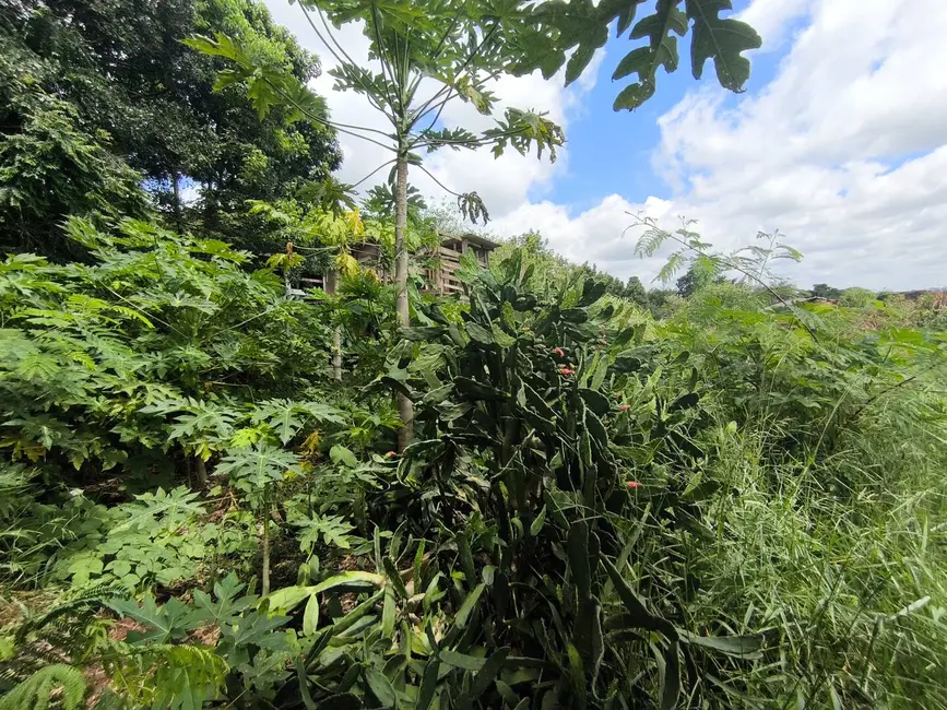 Foto 7 de Chácara com 1 quarto à venda, 6431m2 em Aracoiaba Da Serra - SP