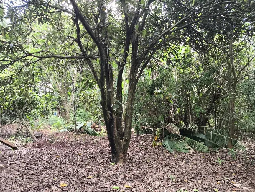 Foto 15 de Chácara com 1 quarto à venda, 6431m2 em Aracoiaba Da Serra - SP