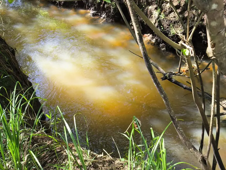 Chácara à venda, 205700m2 em Alambari - SP - imagem 15 Foto 15 de Chácara à venda, 205700m2 em Alambari - SP