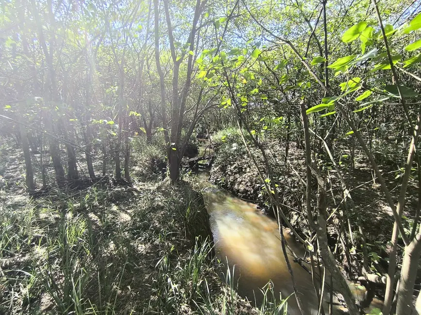 Chácara à venda, 205700m2 em Alambari - SP - imagem 7 Foto 7 de Chácara à venda, 205700m2 em Alambari - SP