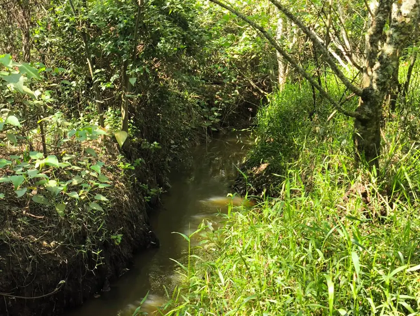 Chácara à venda, 205700m2 em Alambari - SP - imagem 17 Foto 17 de Chácara à venda, 205700m2 em Alambari - SP