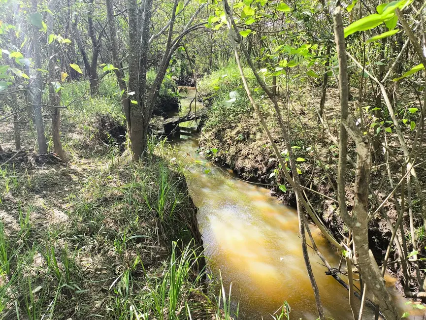 Chácara à venda, 205700m2 em Alambari - SP - imagem 2 Foto 2 de Chácara à venda, 205700m2 em Alambari - SP