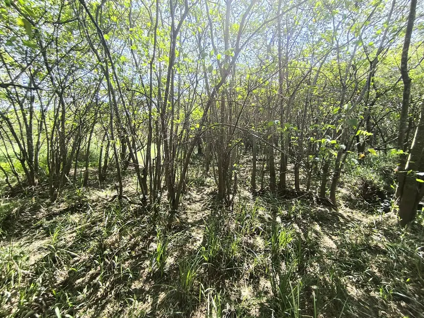 Chácara à venda, 205700m2 em Alambari - SP - imagem 8 Foto 8 de Chácara à venda, 205700m2 em Alambari - SP