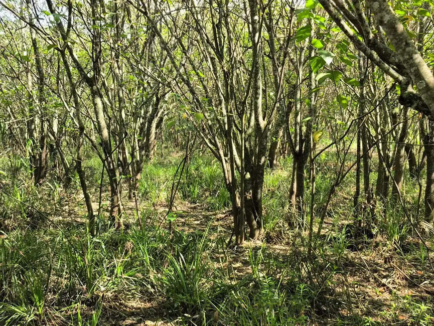 Chácara à venda, 205700m2 em Alambari - SP - imagem 14 Foto 14 de Chácara à venda, 205700m2 em Alambari - SP